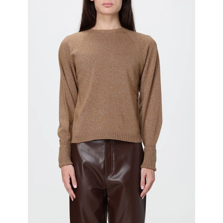 Wool and Cashmere Blend Lurex Yarn Jumper (262TP351213868)
