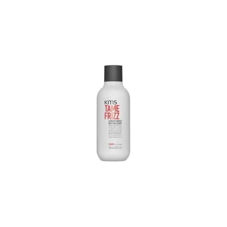 Tame Frizz Conditioner 250ml — Conditioner