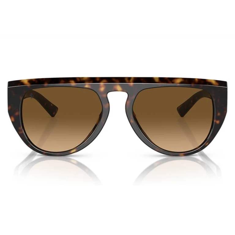 Polarized Brown Gradient Pilot Unisex Sunglasses FH2005U 702/M2 56