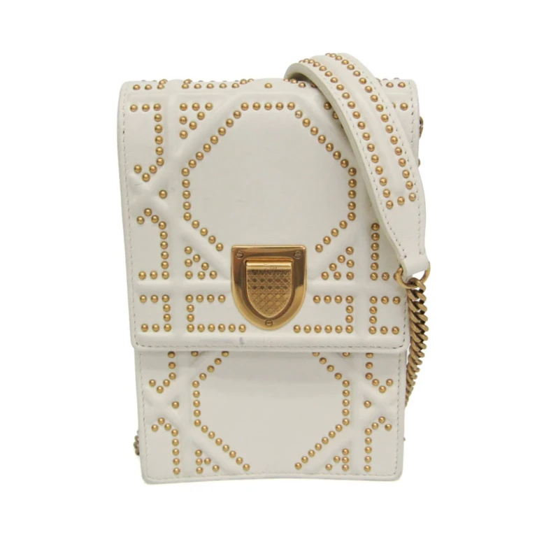 Diorama · Studded Leather