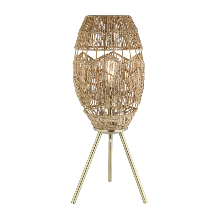 Moira 23.5" High Brushed Gold Iron Table Lamp with Round Tan Hemp Rope Shade