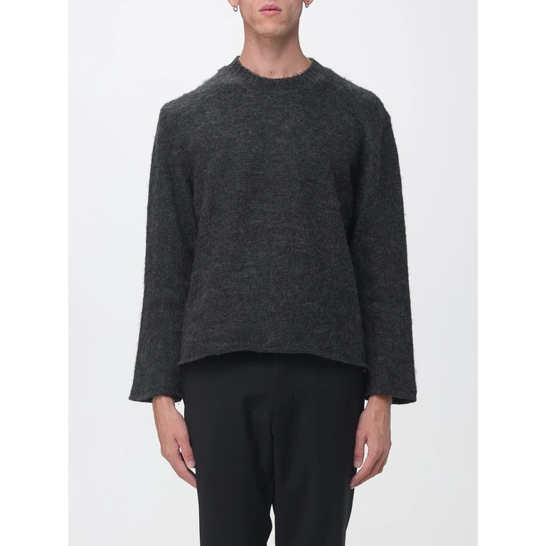 Long-Sleeved Crewneck Sweater in Pure Merino Wool (50023507)