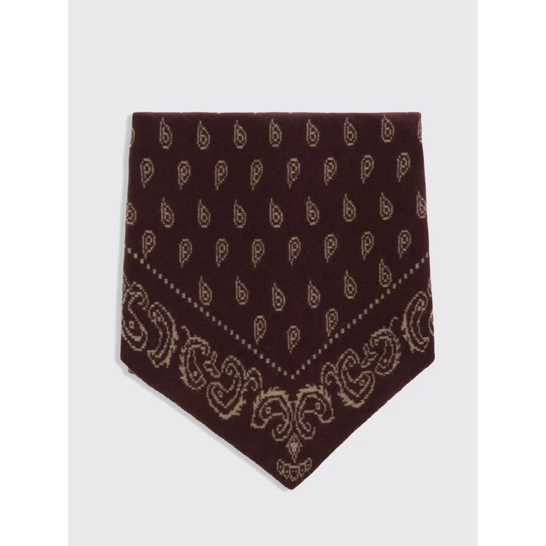 Triangular Paisley Print Pure Cashmere Scarf (A25210ALFIGCML)