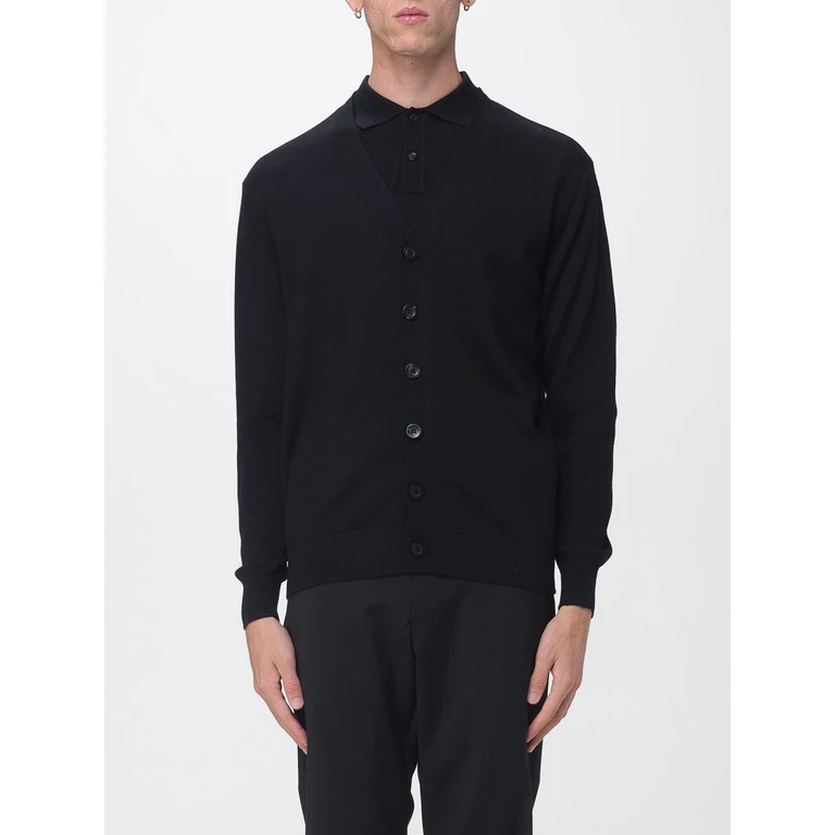 Merino Wool V-Neck Cardigan with Button Closure (SINI6020)