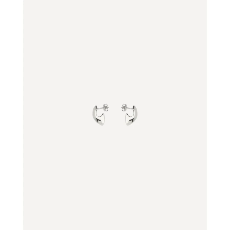 925 Sterling silver Earrings Female UNI