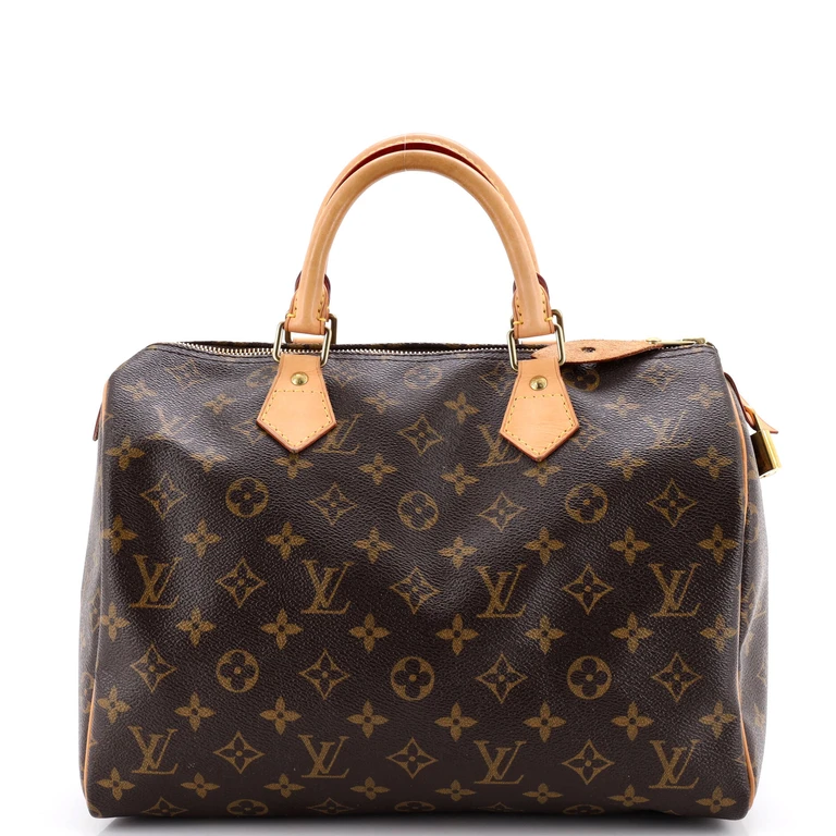 Speedy Handbag Monogram Canvas 30