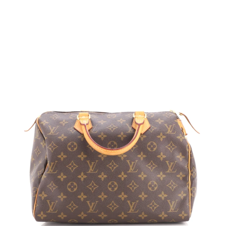 Speedy Handbag Monogram Canvas 30