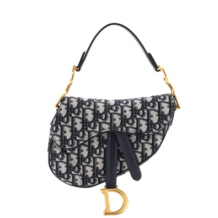 Saddle Handbag Oblique Canvas Mini