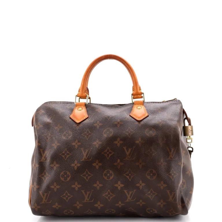 Speedy Handbag Monogram Canvas 30