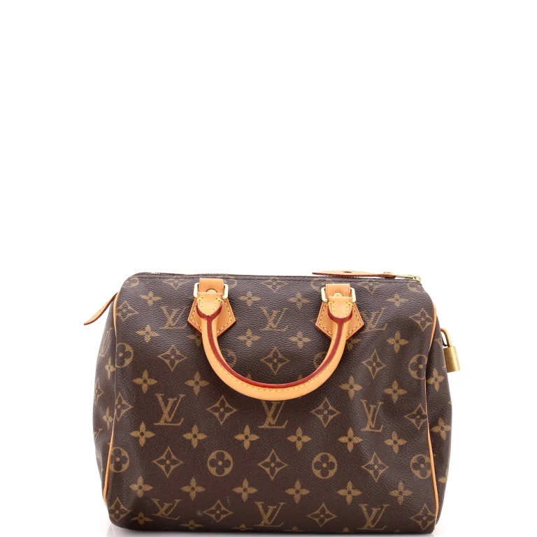 Speedy Handbag Monogram Canvas 25