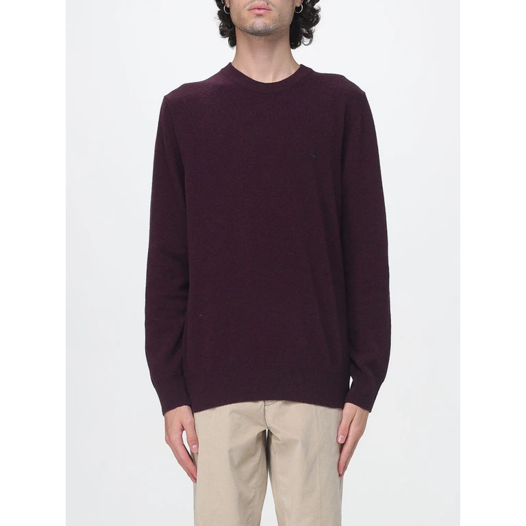 Sweater Men color Plum (203EK040V0053)