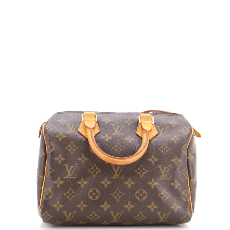 Speedy Handbag Monogram Canvas 25