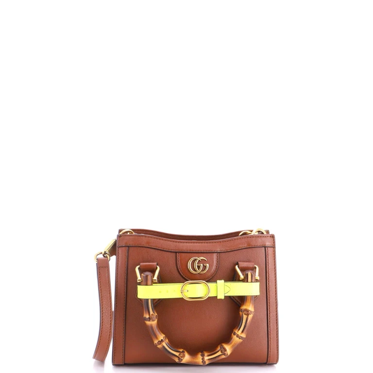 Diana NM Bamboo Handle Tote Leather Mini