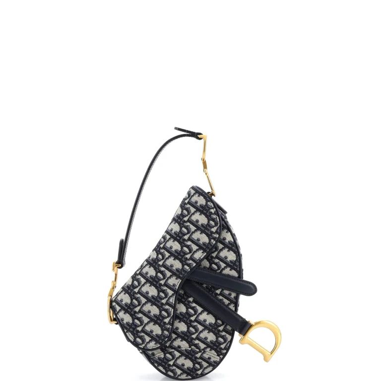 Saddle Handbag Oblique Canvas Mini