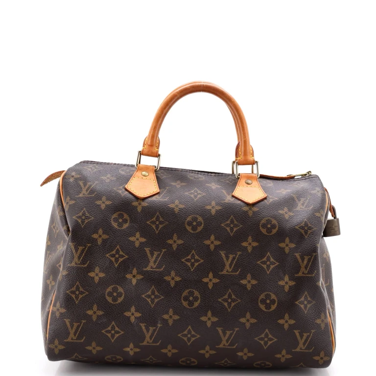 Speedy Handbag Monogram Canvas 30