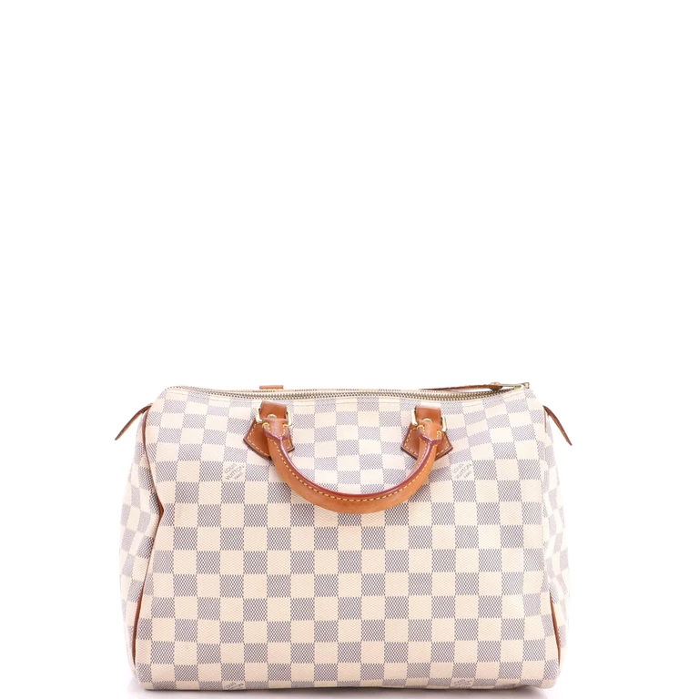 Speedy Handbag Damier 25