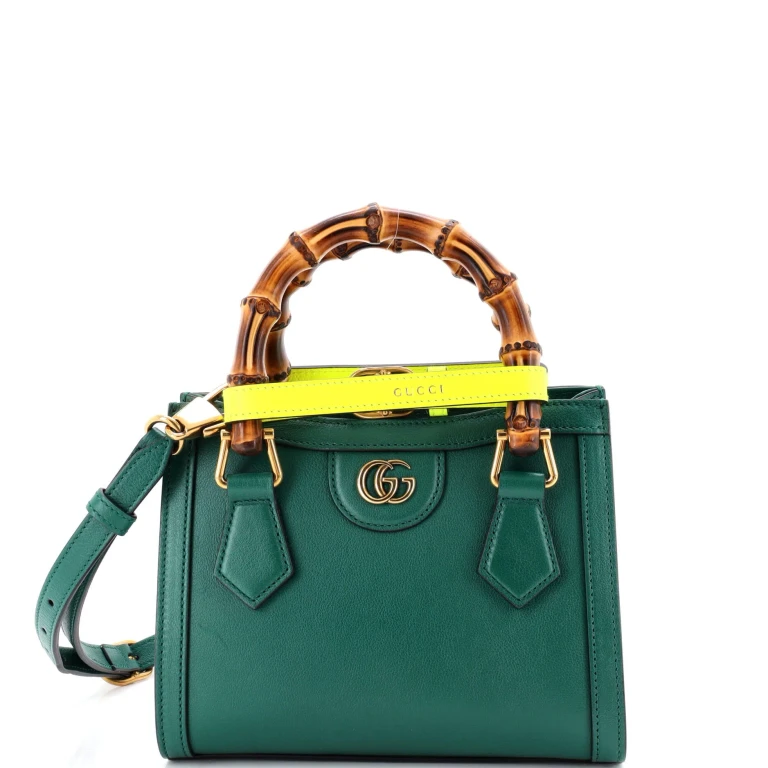 Diana NM Bamboo Handle Tote Leather Mini