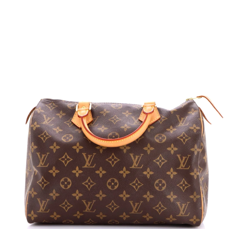Speedy Handbag Monogram Canvas 30