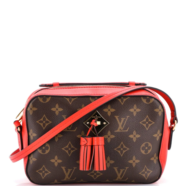 Saintonge Handbag Monogram Canvas with Leather
