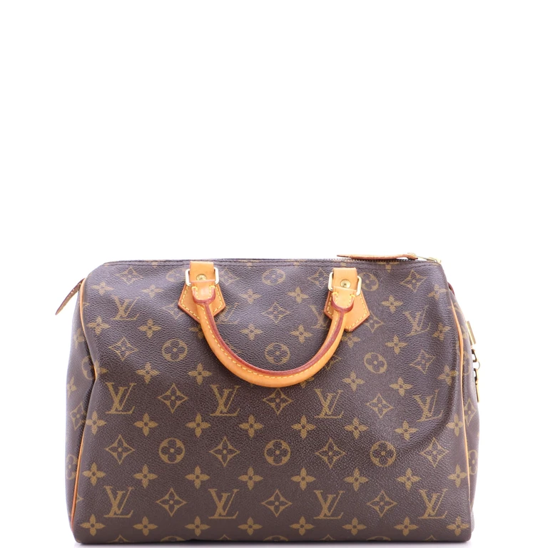 Speedy Handbag Monogram Canvas 30