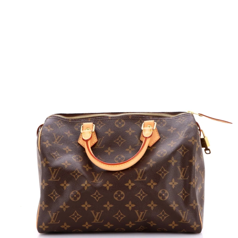 Speedy Handbag Monogram Canvas 30