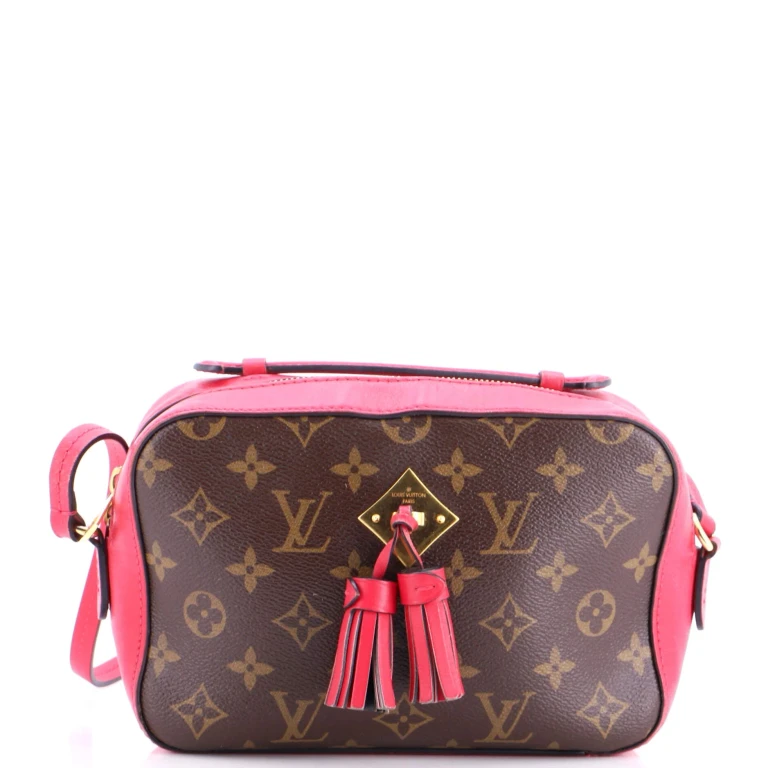 Saintonge Handbag Monogram Canvas with Leather