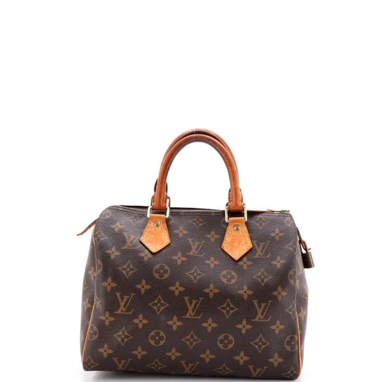 Speedy Handbag Monogram Canvas 25