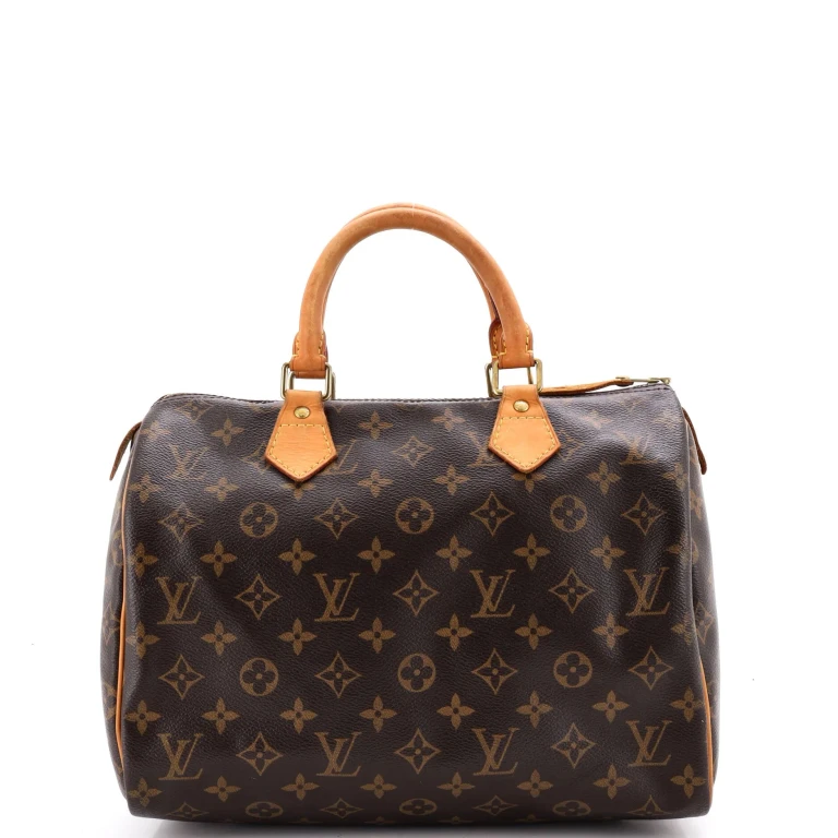 Speedy Handbag Monogram Canvas 30