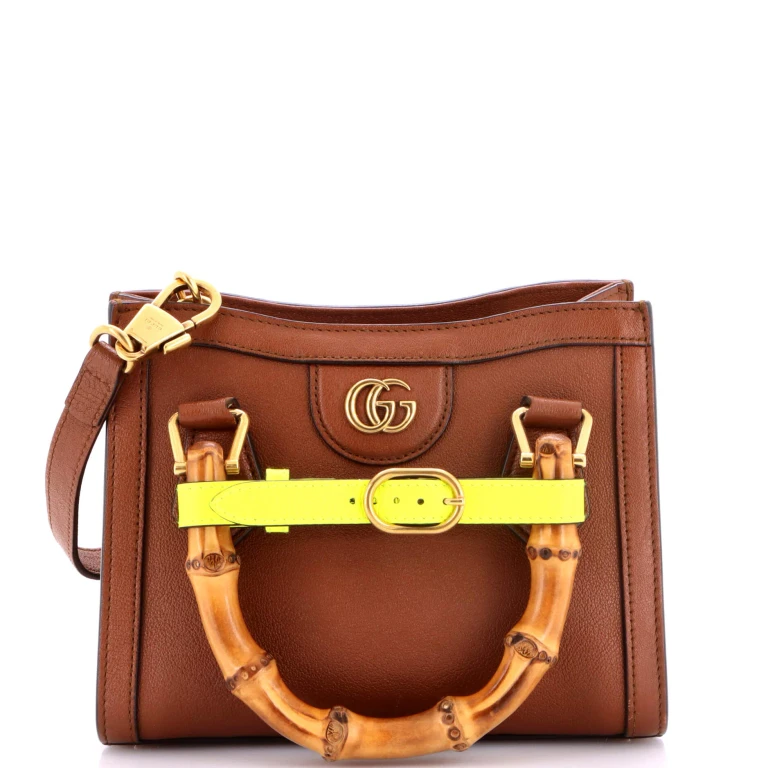 Diana NM Bamboo Handle Tote Leather Mini