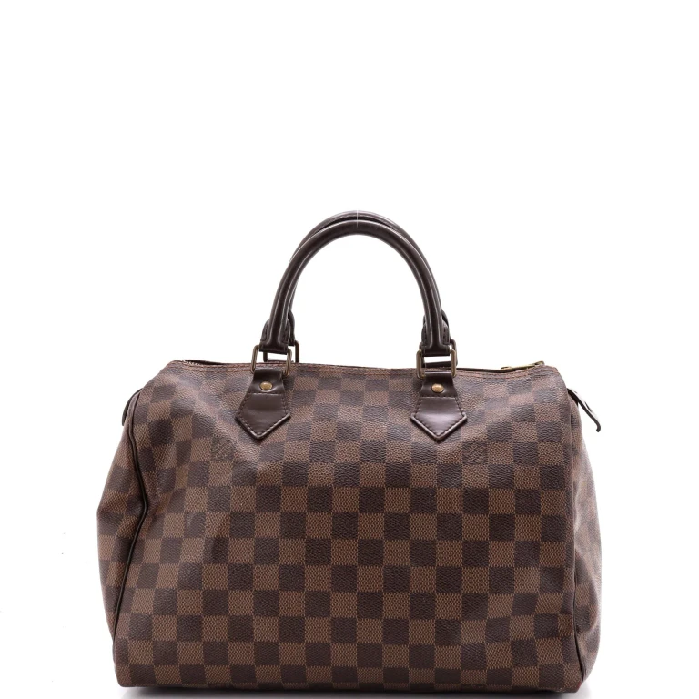 Speedy Handbag Damier 30
