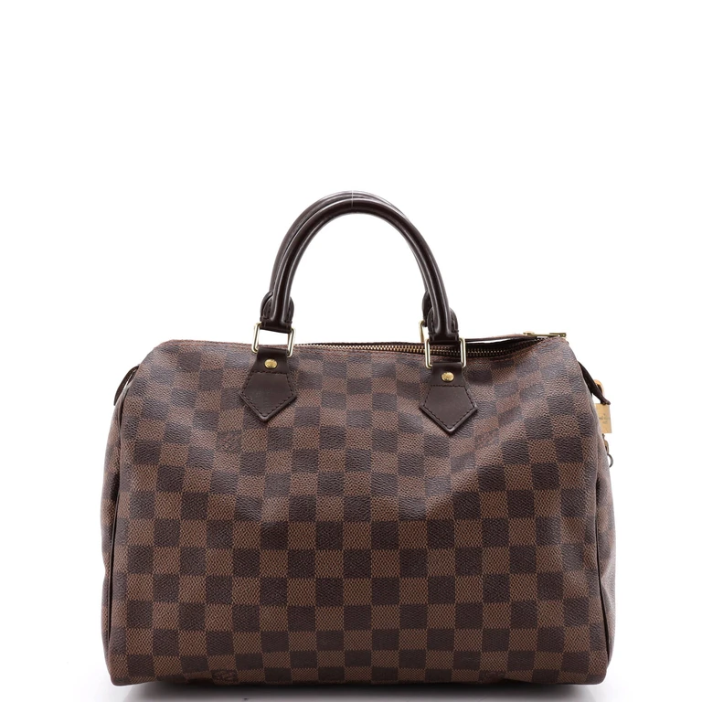 Speedy Handbag Damier 30