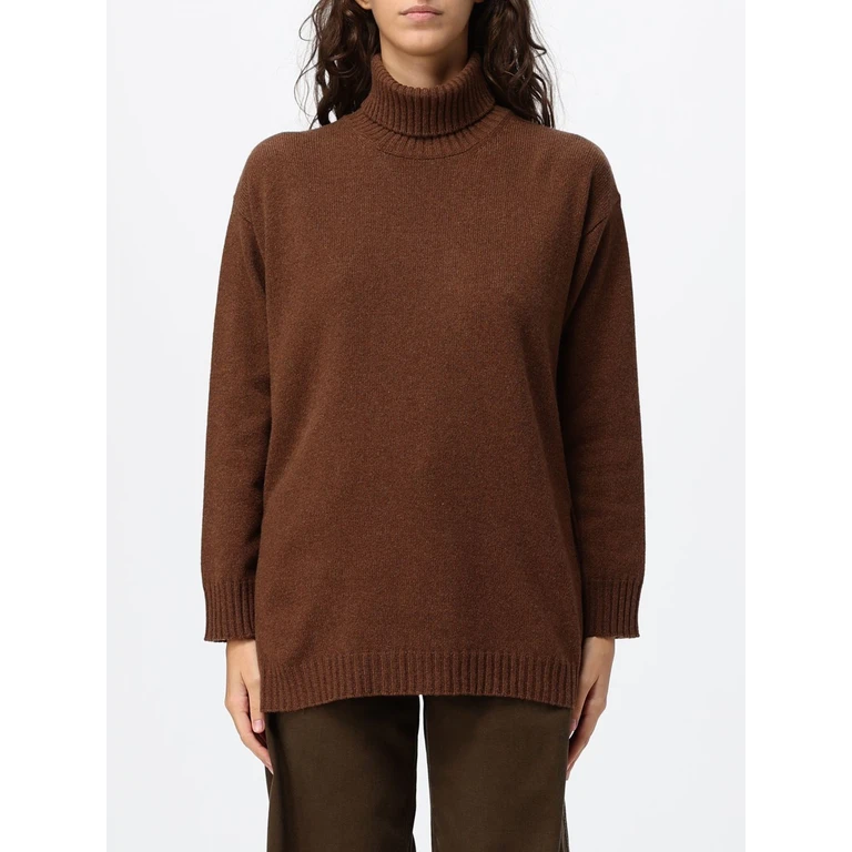 Sweater Woman color Brown (46200500229)
