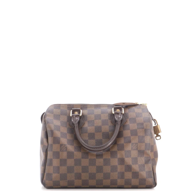 Speedy Handbag Damier 25