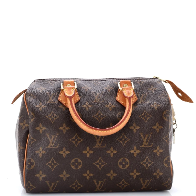 Speedy Handbag Monogram Canvas 25