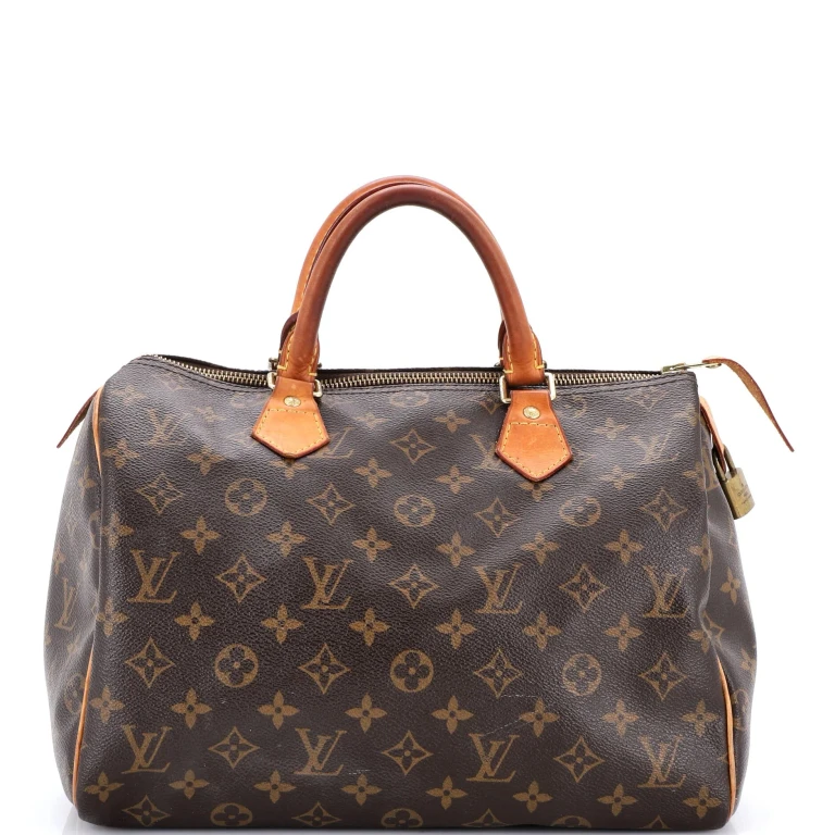 Speedy Handbag Monogram Canvas 30