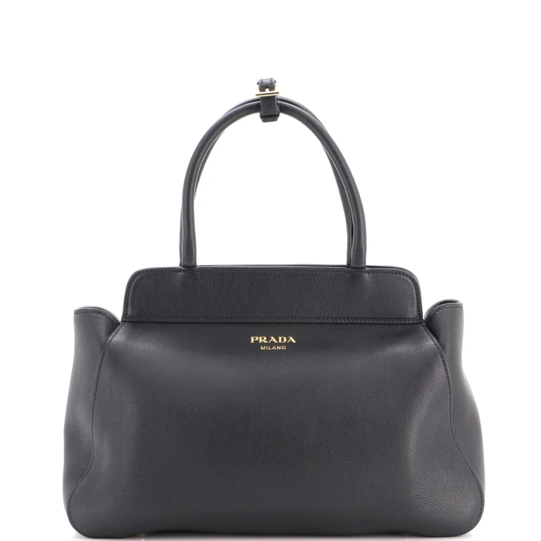 Frame Tote Soft Grain Leather Medium