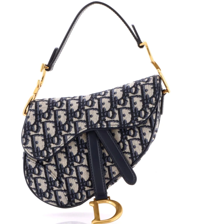 Saddle Handbag Oblique Canvas Mini