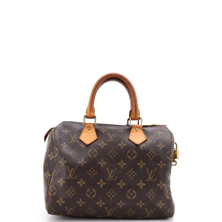 Speedy Handbag Monogram Canvas 25
