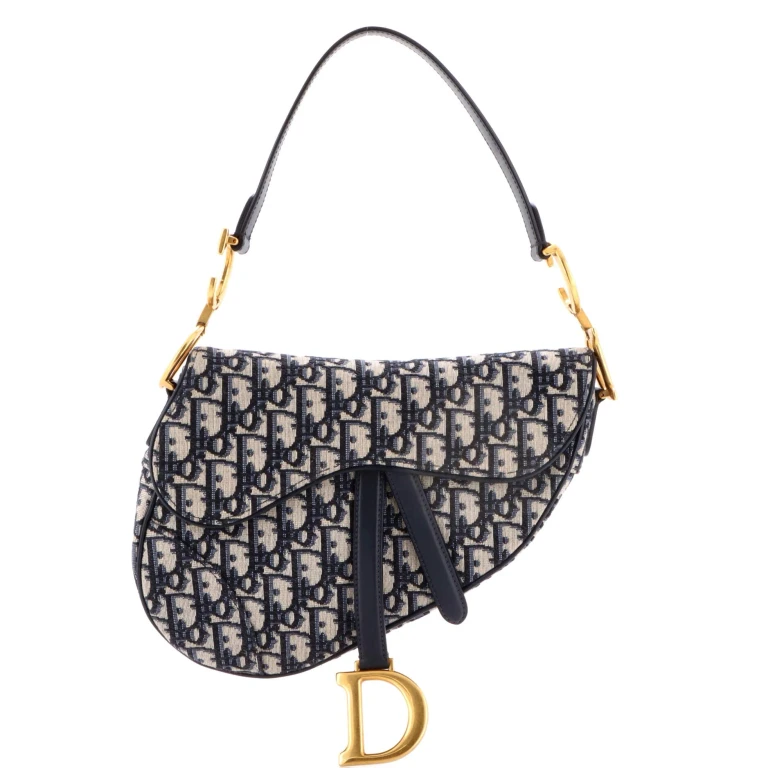 Saddle Handbag Oblique Canvas Medium