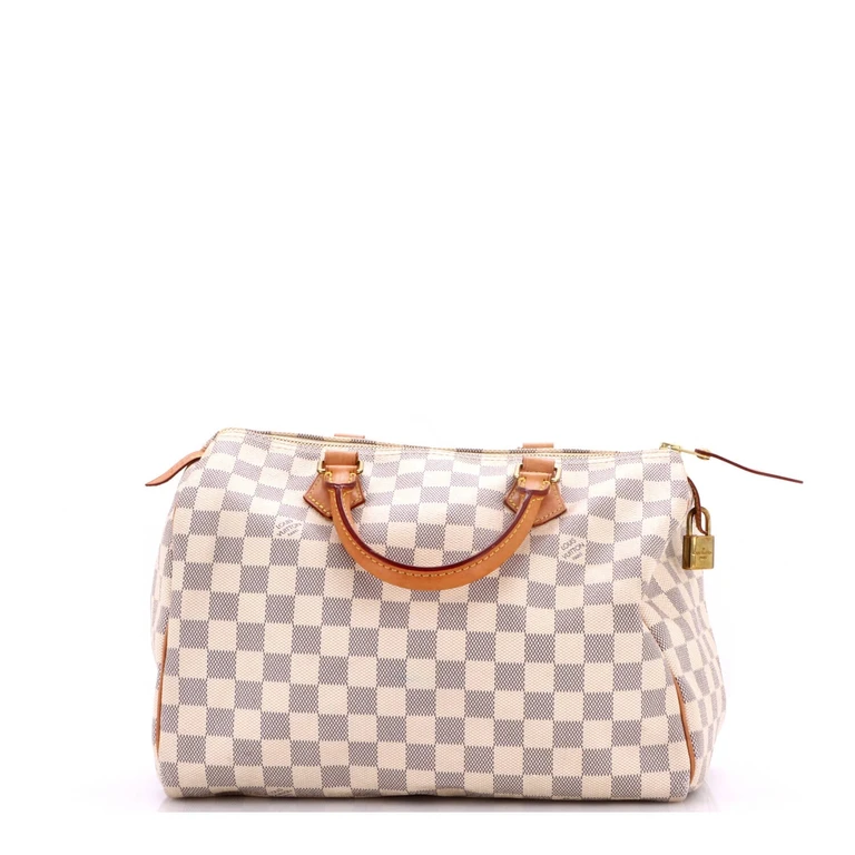 Speedy Handbag Damier 30