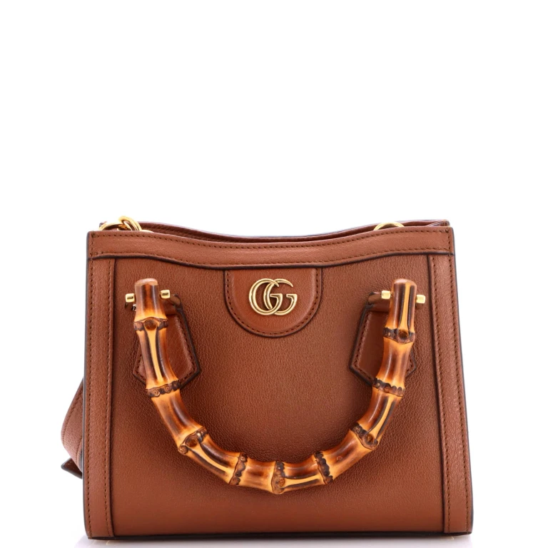 Diana NM Bamboo Handle Tote Leather Mini