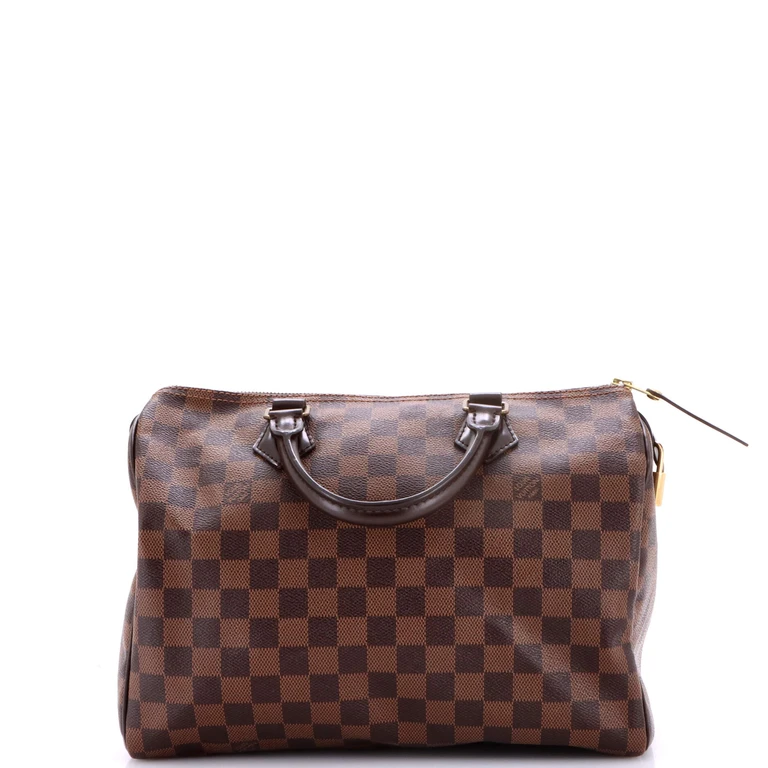 Speedy Handbag Damier 30