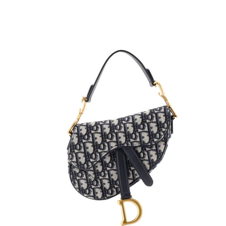 Saddle Handbag Oblique Canvas Mini
