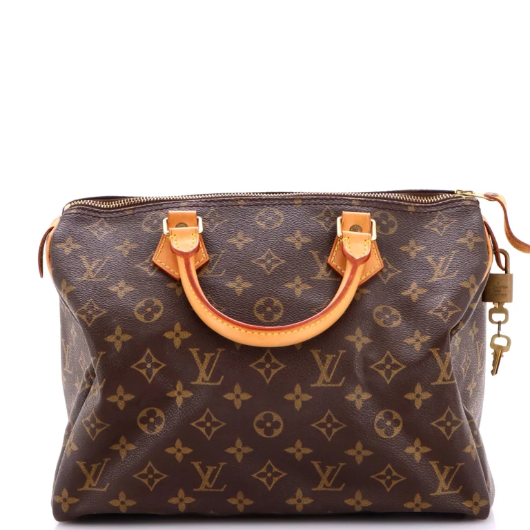 Speedy Handbag Monogram Canvas 30