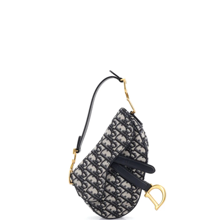Saddle Handbag Oblique Canvas Mini