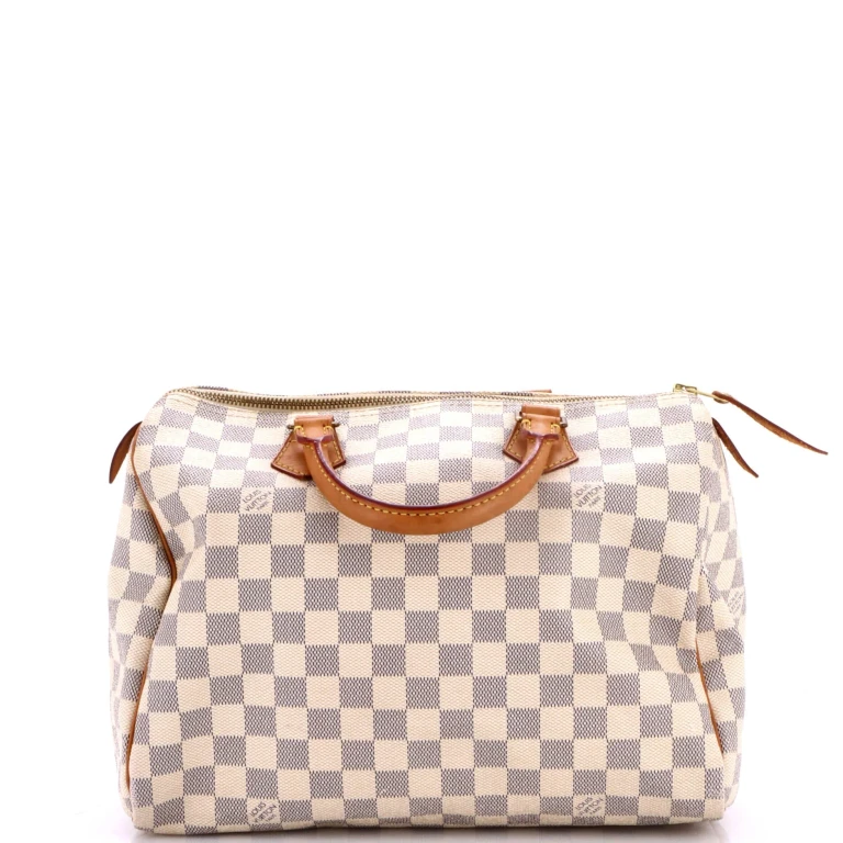 Speedy Handbag Damier 30