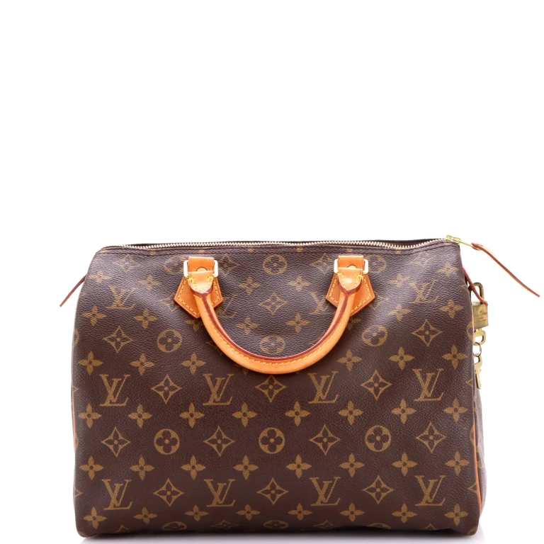 Speedy Handbag Monogram Canvas 30