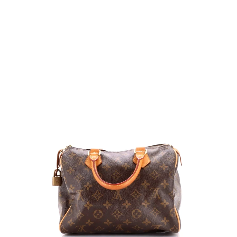 Speedy Handbag Monogram Canvas 25