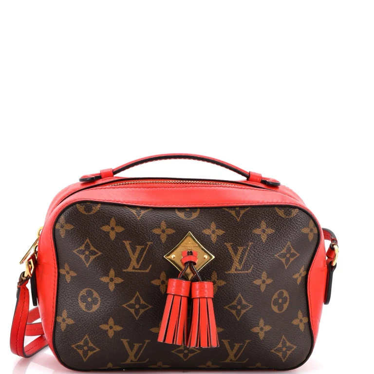 Saintonge Handbag Monogram Canvas with Leather