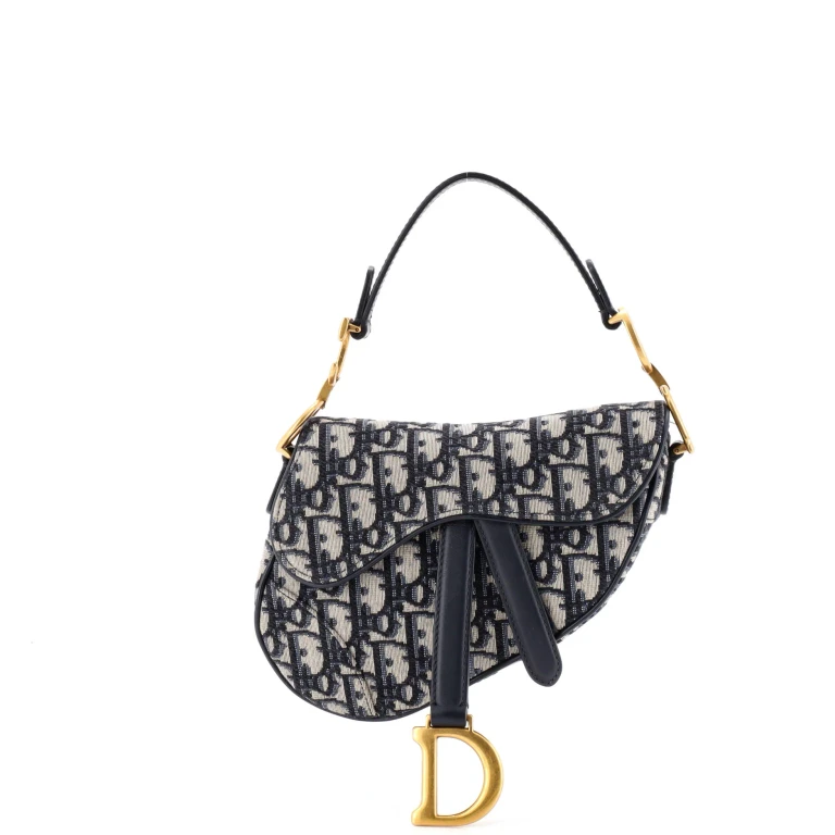 Saddle Handbag Oblique Canvas Mini